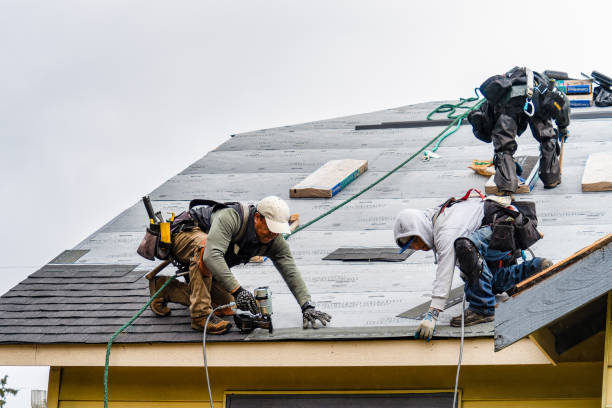 Professional Roof Inspection technician working in Montgomery, VT